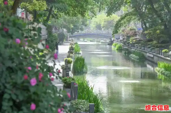 还在寻找刺激的射击游戏？使命召唤战争地带手游》不来挑战一下吗？