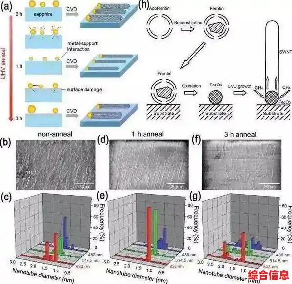内存颗粒技术前沿解析：天梯图更新揭示行业趋势与未来应用