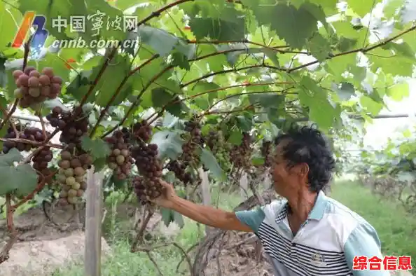 当梯子突然断裂、大门瞬间关闭.黑色走廊》的致命陷阱你确定能全部躲过？