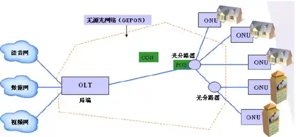 探秘数据转发：路由器与交换机的核心区别与应用场景