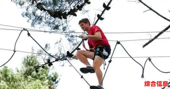 想体验经营与收获的双重快乐?快来试试《我的农场冒险》 想体验经营与收获的双重快乐?快来试试《我的农场冒险》