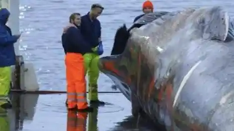 笔记本电脑数据恢复步骤 笔记本电脑数据恢复易我数据恢复