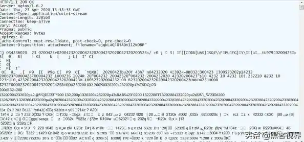 深入了解svchost进程：Windows服务管理的关键角色与运作方式