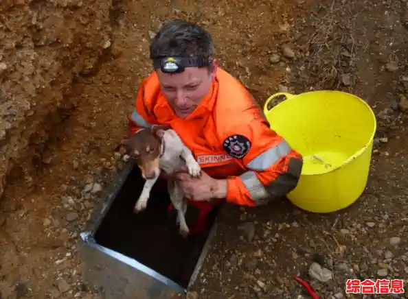 还在寻找有趣的驾驶模拟游戏？手动挡停车场最新版本你玩过了吗？