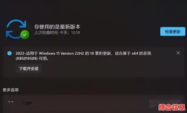 Win11使用体验不佳？详细教程教你顺利降级至Win10系统