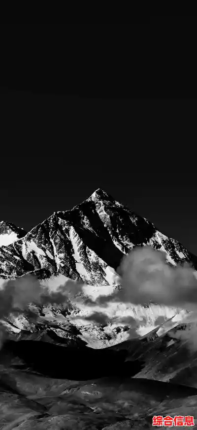 如何解决手机屏幕突然变成黑白色的故障问题