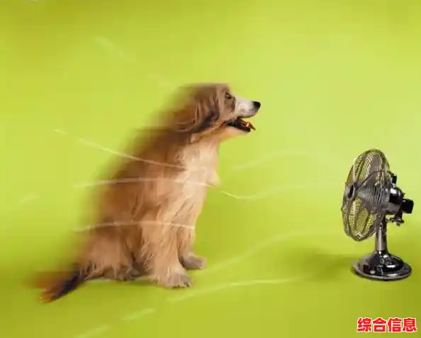 《地痞街区手机版》想体验端游移植的像素风肉鸽射击快感？快来试试这款超爽割草游戏！