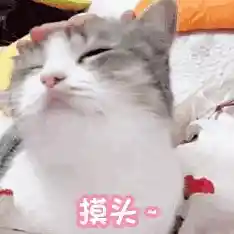 想体验萌猫经营温泉店的乐趣？猫咪和汤正版》满足你的所有幻想！