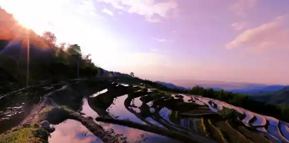 笔记本天梯集显性能排行榜：解锁流畅游戏新境界