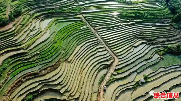 笔记本天梯集显性能排行榜：解锁流畅游戏新境界