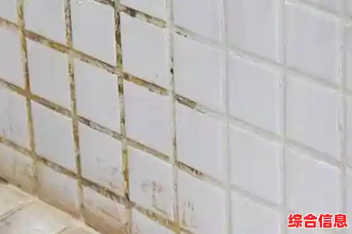 当手机屏幕意外全黑时，这些实用解决方案能即时挽救你的设备