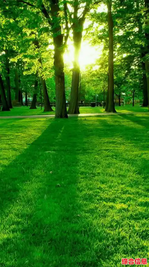 手机背景图片：定制专属视觉，为你的屏幕注入个性魅力