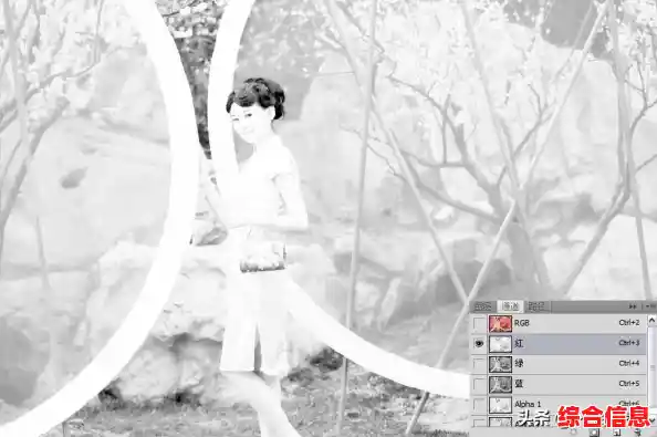 Photoshop复制快捷键全解析：快速上手高效操作秘籍