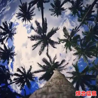 [轻松创建QQ新账号，快速开启社交新体验]