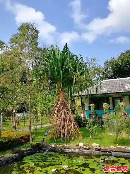 你是否也想体验《光与夜之恋国际服》中五位男主的专属浪漫剧情? 你是否也想体验《光与夜之恋国际服》中五位男主的专属浪漫剧情?