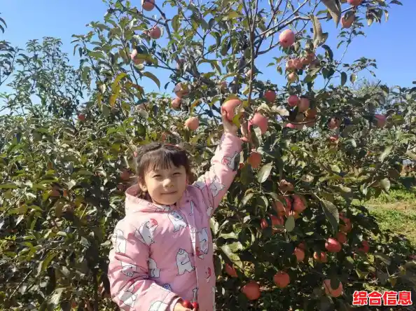 苹果电影:金秋果园里爱与梦想的成长诗篇 苹果电影:金秋果园里爱与梦想的成长诗篇