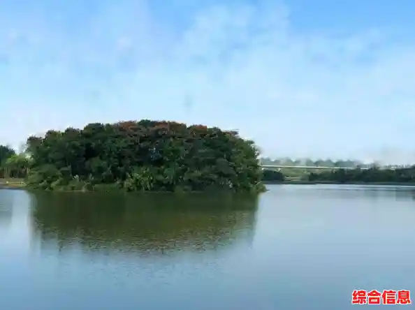 专业去水印工具，一键清除视频瑕疵，还原纯净画面