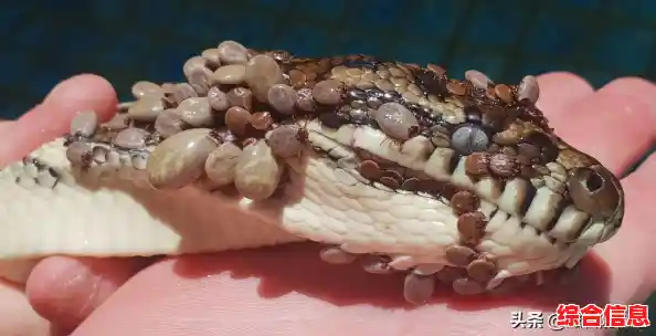 从零到精通的APP开发达人经验谈与实战分享 从零到精通的APP开发达人经验谈与实战分享