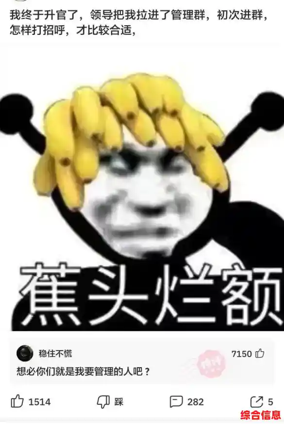 提升群管理效率：掌握专业群公告的写作步骤与范例