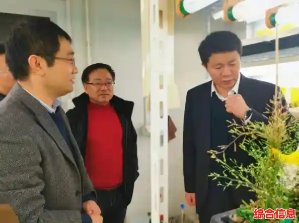 想体验经典与创新的完美结合?植物大战僵尸e版安卓版等你来战! 想体验经典与创新的完美结合?植物大战僵尸e版安卓版等你来战!