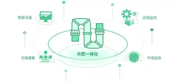 创新种子发布平台：实现种子资源智能化管理与快速分发