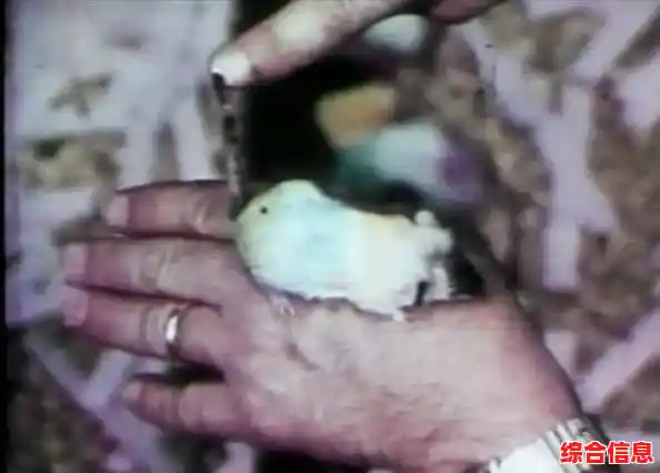 还在寻找轻松有趣的模拟经营游戏？咖啡乌托邦》等你来挑战！