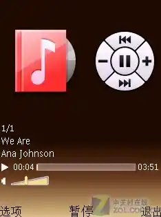 寻找理想播放器：详细解析热门选项与使用技巧