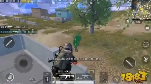 想体验百人激战的刺激?快来试试《和平精英国服》吧! 想体验百人激战的刺激?快来试试《和平精英国服》吧!