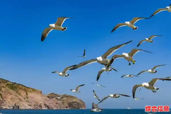 打造梦想都市何必犹豫?特大城市》的海岛山脉全地图任你驰骋! 打造梦想都市何必犹豫?特大城市》的海岛山脉全地图任你驰骋!