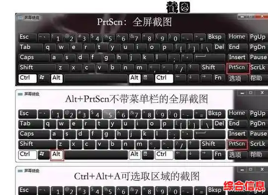 详解电脑截图的实用方式：快捷键与工具的综合使用指南