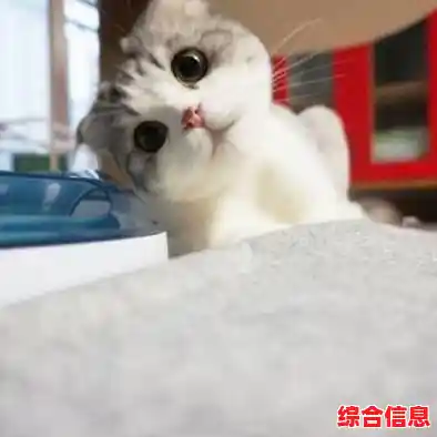 [qq企鹅头像]萌趣小企鹅，让你的聊天窗口瞬间活力满满！