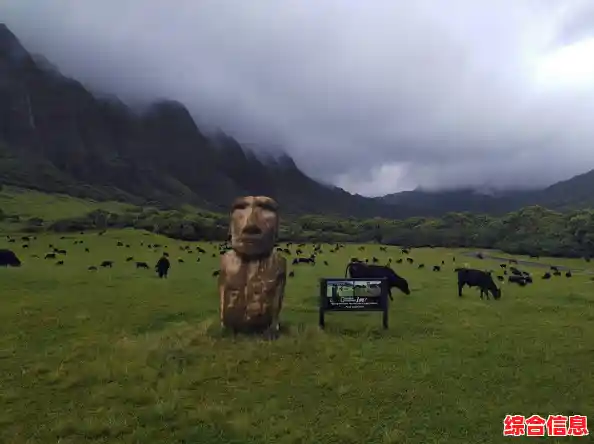 想体验真实的农场生活?牧场物语》模拟经营手游等你来玩! 想体验真实的农场生活?牧场物语》模拟经营手游等你来玩!
