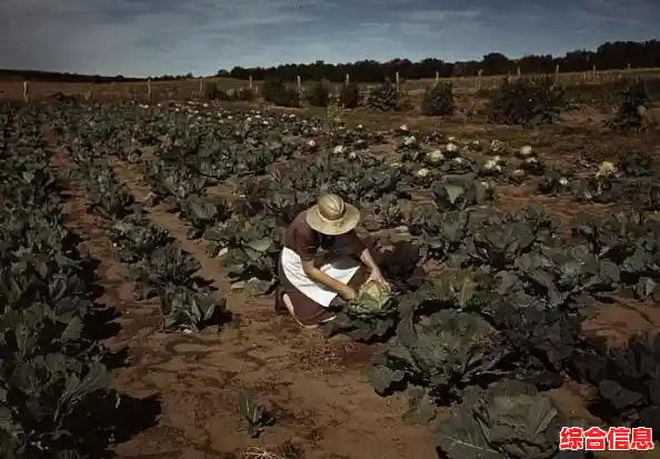 想体验真实的农场生活?牧场物语》模拟经营手游等你来玩! 想体验真实的农场生活?牧场物语》模拟经营手游等你来玩!