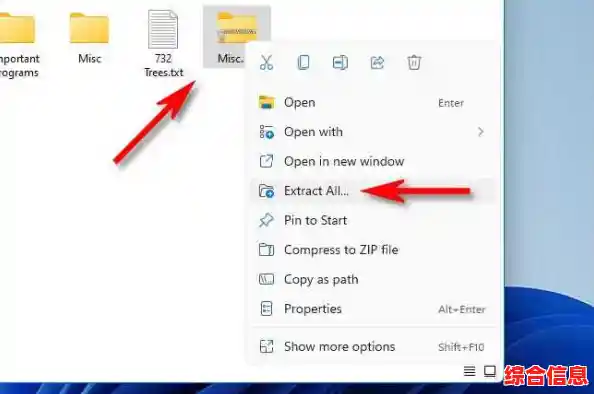 解压操作未成功？请为Windows 11选择另一文件夹路径