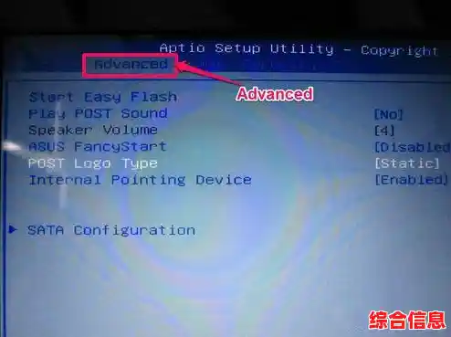 高效装机指南：这些必备软件让电脑操作更流畅便捷