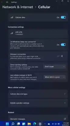 Windows 11系统屏幕色温调节方法详解