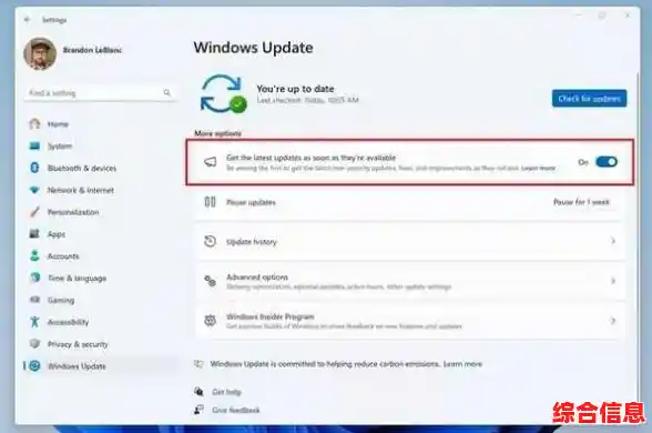 Win11正式版版本号查询方法全解析：轻松掌握系统更新状态