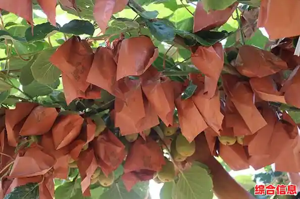 苹果游戏：果园大冒险，挑战你的果实收集技巧与策略极限！