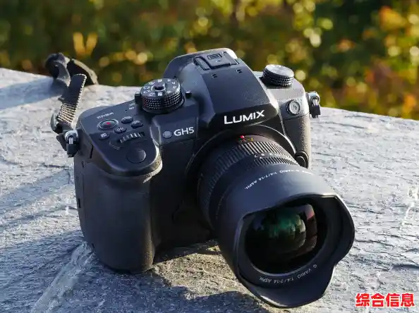 探索专业摄影新境界：尼康单反助您捕捉极致光影与细节