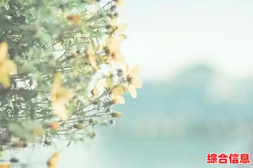 QQ密码遗忘处理指南：详细步骤助您快速找回账户访问权限