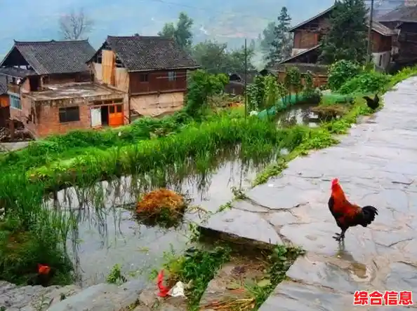 地方游戏网：探索乡村乐趣，畅享田园游戏时光