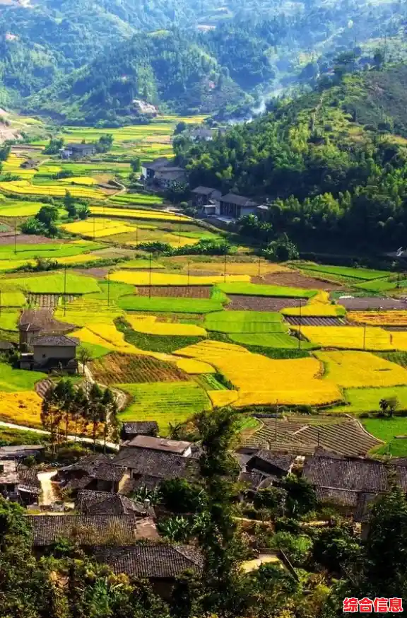 地方游戏网：探索乡村乐趣，畅享田园游戏时光