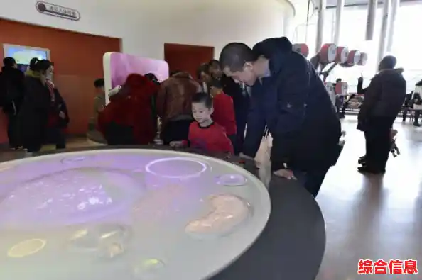 还在为找不到创意对战游戏发愁?组装小车对对碰》满足你的组装与战斗欲! 还在为找不到创意对战游戏发愁?组装小车对对碰》满足你的组装与战斗欲!