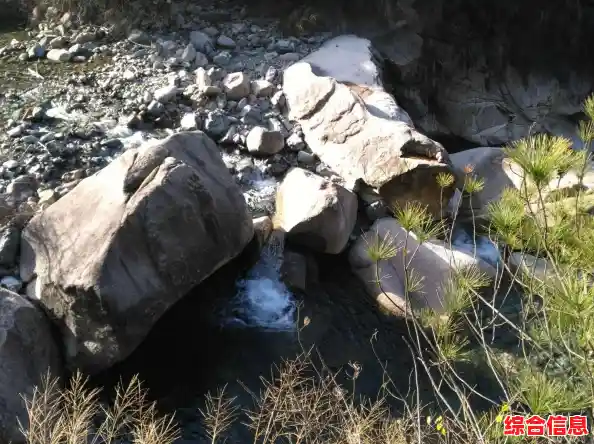 畅游手机游戏大厅，千款精选游戏等您体验，乐趣无穷尽在其中！