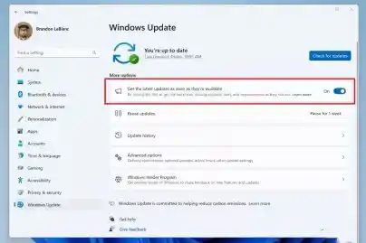 升级Win11安全新体验：青之蓝插件为系统保驾护航