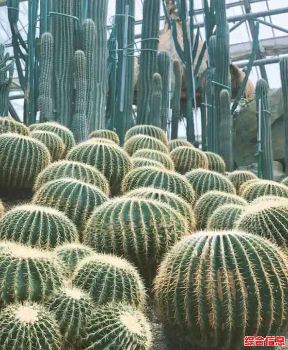 最新版PS滤镜免费下载，专业效果让您的作品脱颖而出！