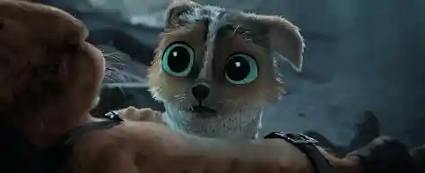 谁是伪装大师？来《躲猫猫大乱斗》一较高下吧！