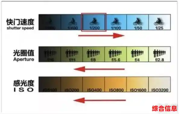 相机天梯图解析:从入门到专业,掌握完美影像的创作利器 相机天梯图解析:从入门到专业,掌握完美影像的创作利器