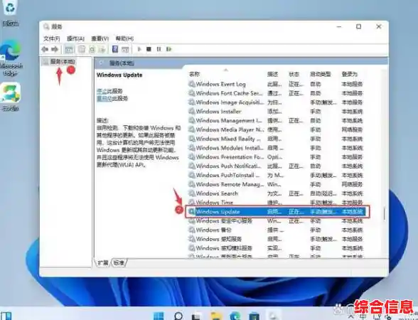 Windows 11未安装浏览器？详细步骤助您快速恢复访问网络
