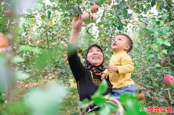 [苹果表情]与您同游果园乐园，沉浸于果香四溢的甜蜜之旅！